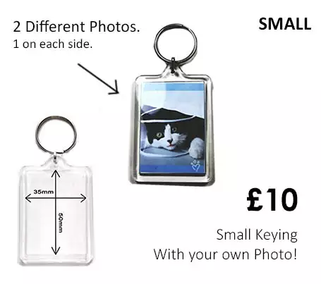 Small Keyring