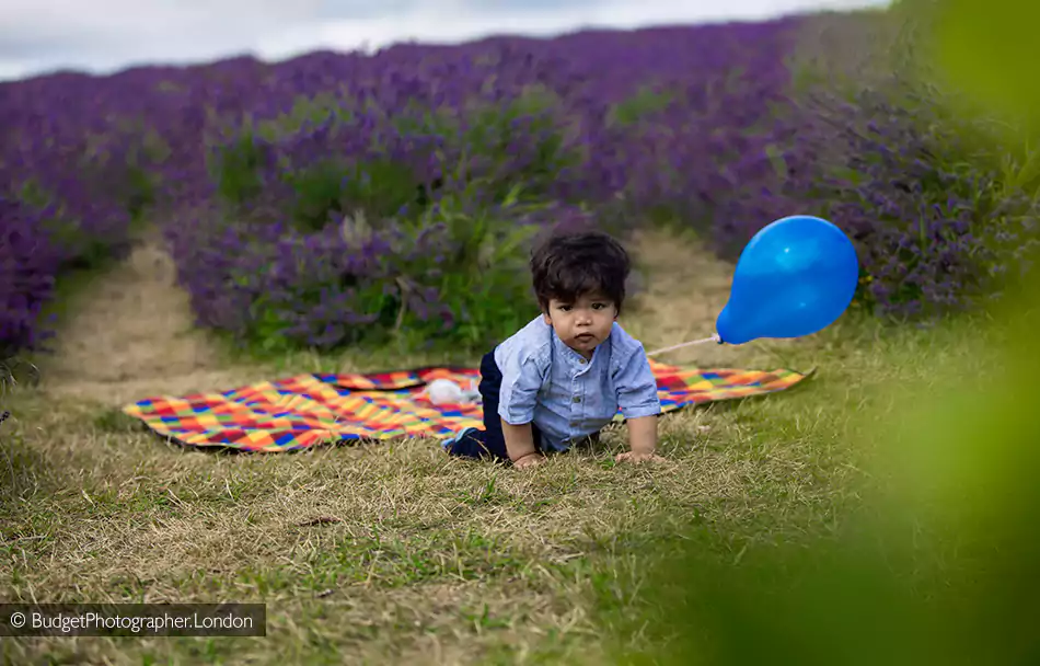 Baby and balloon in Lavender Field
