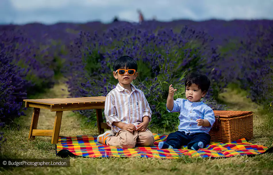 Young brothers at Mayfield Lavender Field