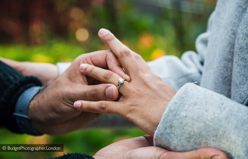 Proposal in a Private Park