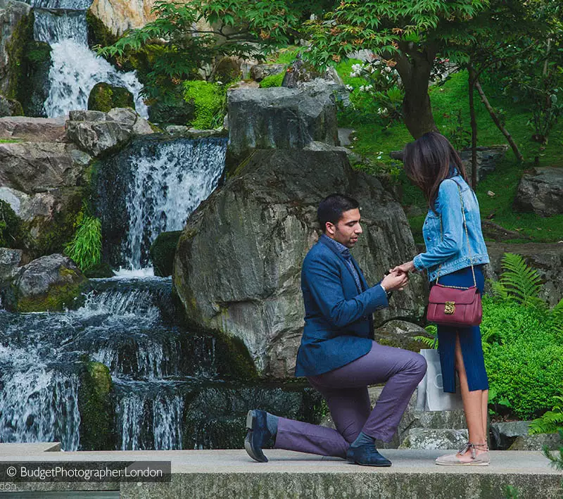 Kyoto Gardens Proposal